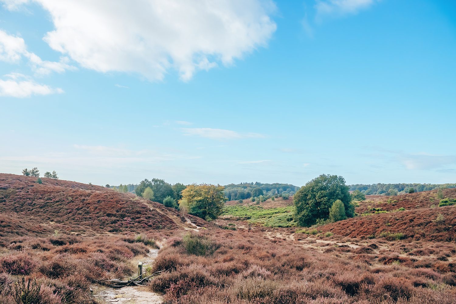 Herikhuizen
