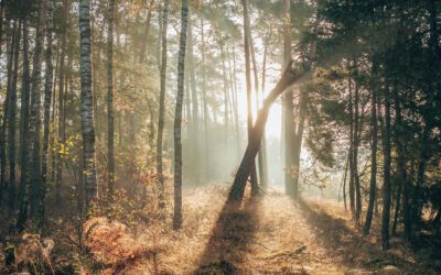 Het Lutterzand, wandelen langs de Dinkel