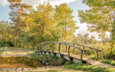 Wandelroute Lankheet over Landgoed Het Lankheet