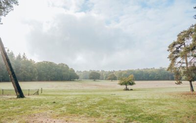 De indrukwekkende witte zwerfkeienroute Loenermark
