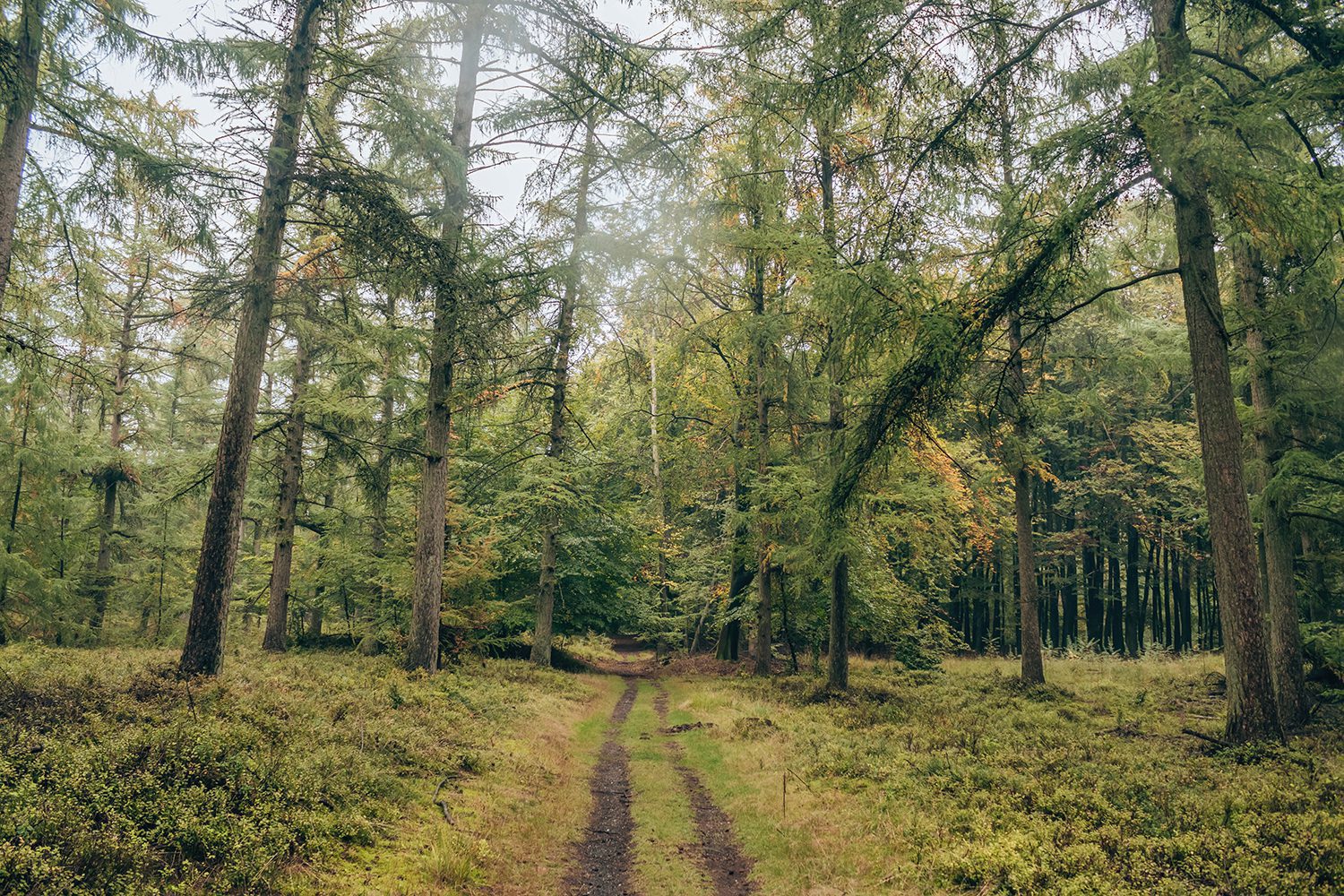 zwerfkeienroute