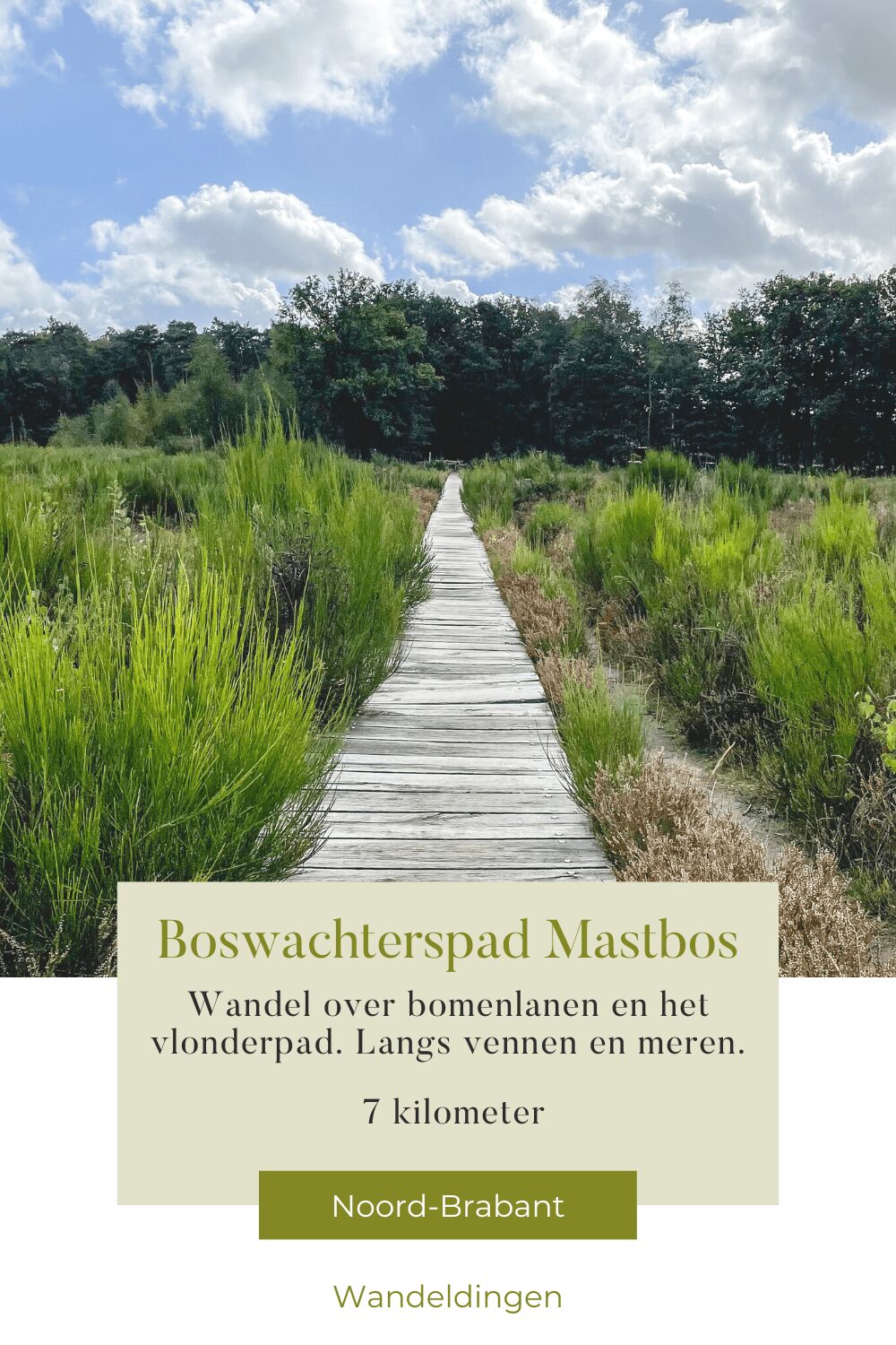 boswachterspad mastbos
