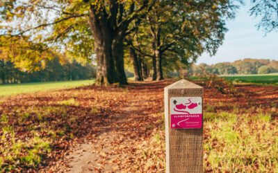 Klompenpad Schaarsbergen, wandelen over Groot Warnsborn