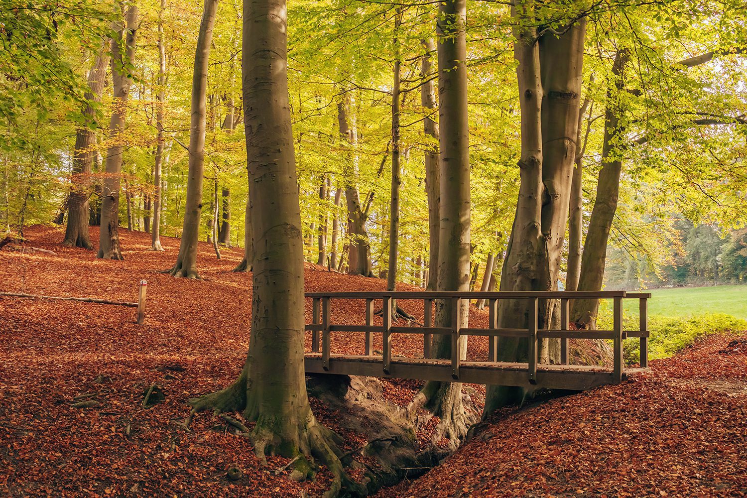 klompenpad Schaarsbergen