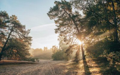 Mijn wandelavonturen van 2022