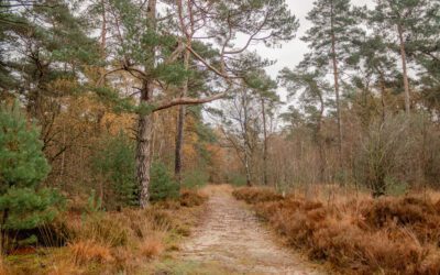 Trage Tocht Soest