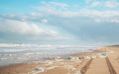 15 wandelroutes Zuid-Holland