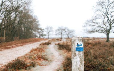 Klompenpad Kreelsepad, over de Eder Heide en Planken Wambuis