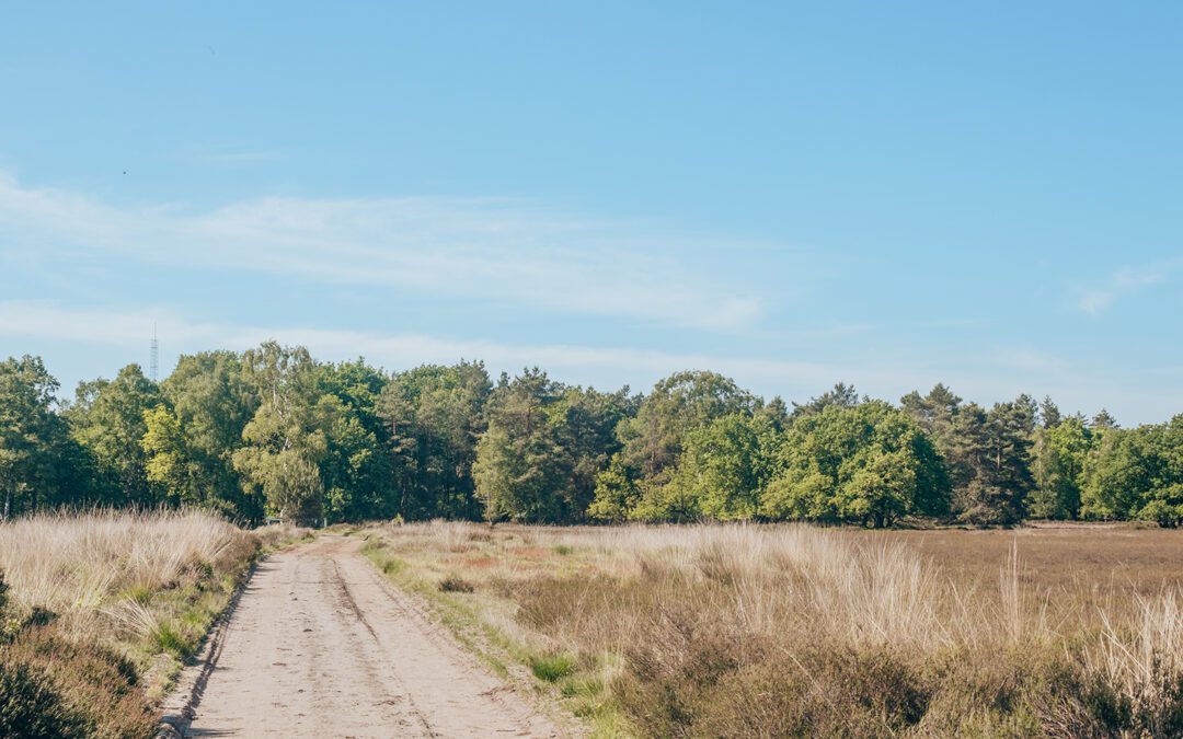 wandelen Garderen
