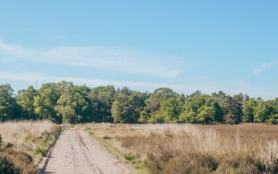 5 Geliefde wandelroutes bij Garderen