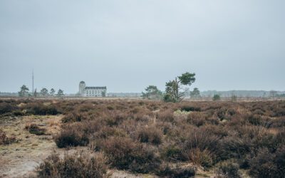 Heidewandeling Radio Kootwijk