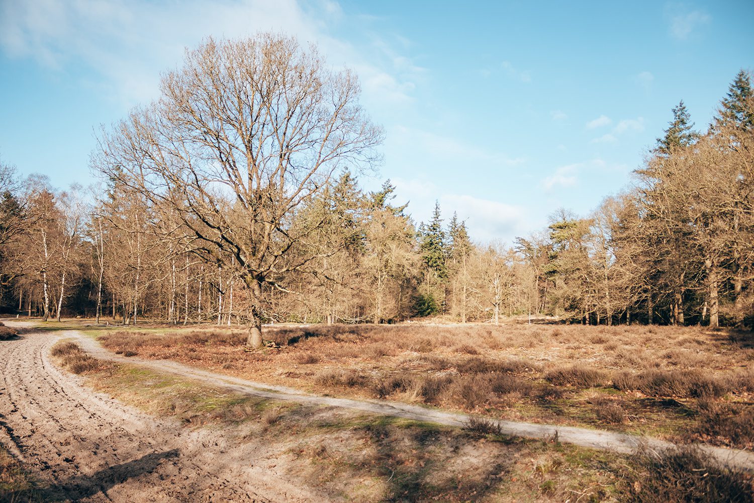 wandelen roestelberg