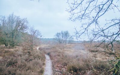 Trage Tocht Staverden