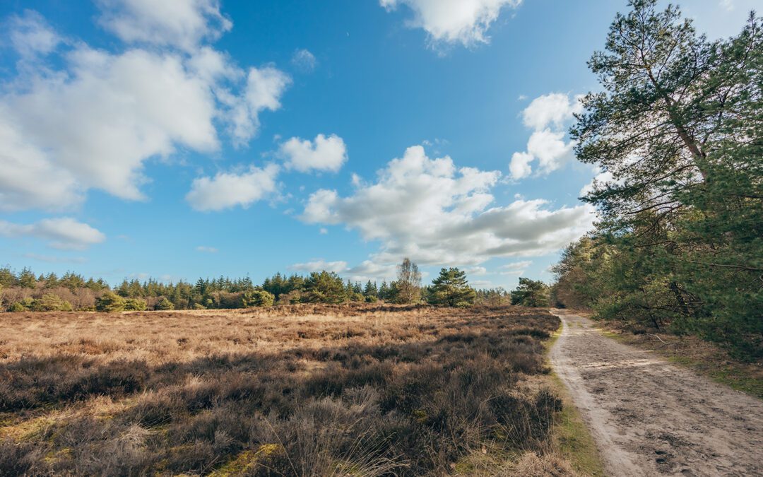 wandelropute boeschoten