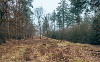 Wandelroute Kort & Prachtig Zuylestein