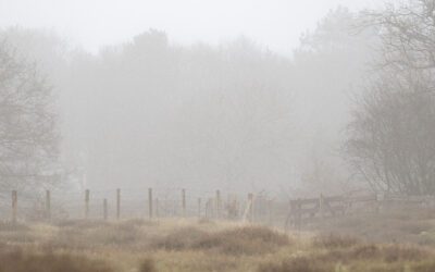 Wandelen door duingebied Solleveld