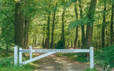 15 mooiste wandelroutes op de Veluwe