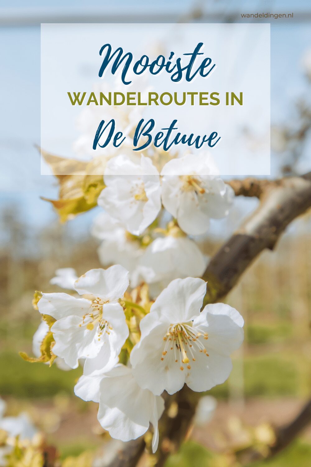 wandelen betuwe