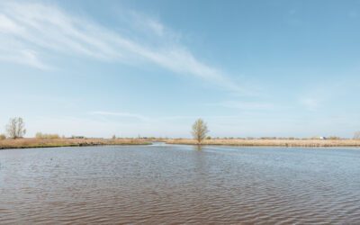 Wandelroute Waverhoek in Polder Groot-Mijdrecht