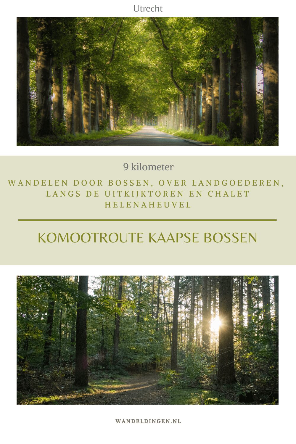 Kaapse Bossen