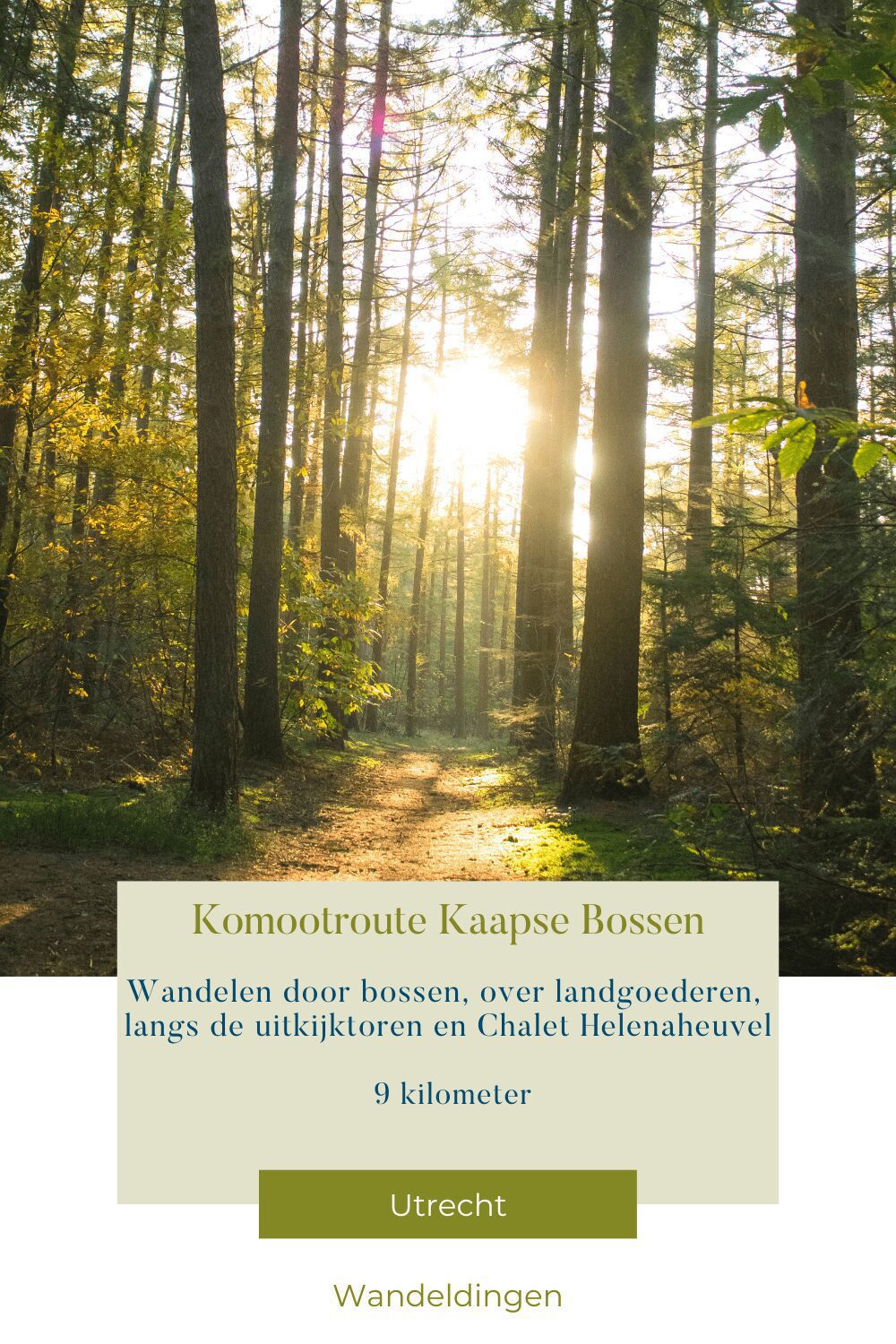 Komootroute Kaapse Bossen