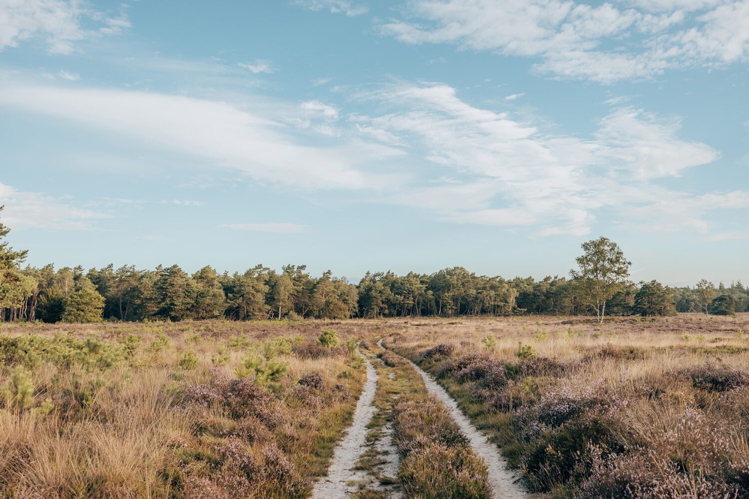 heidewandelingen