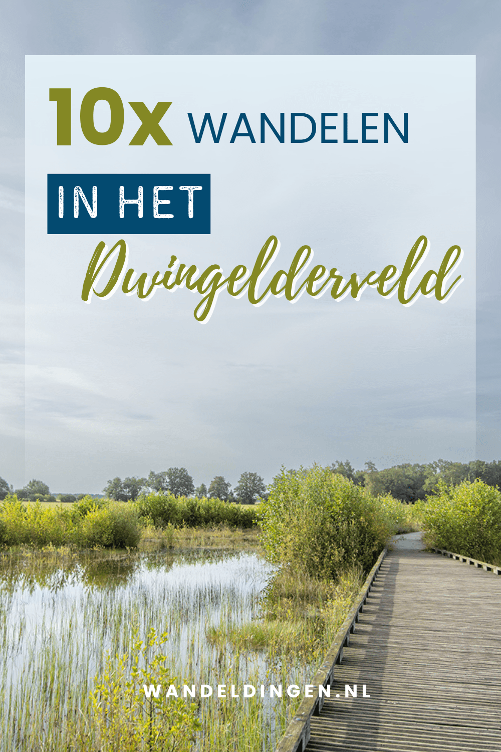 wandelroutes Dwingelderveld