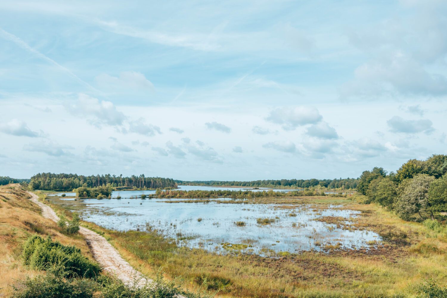 wandelroutes Dwingelderveld