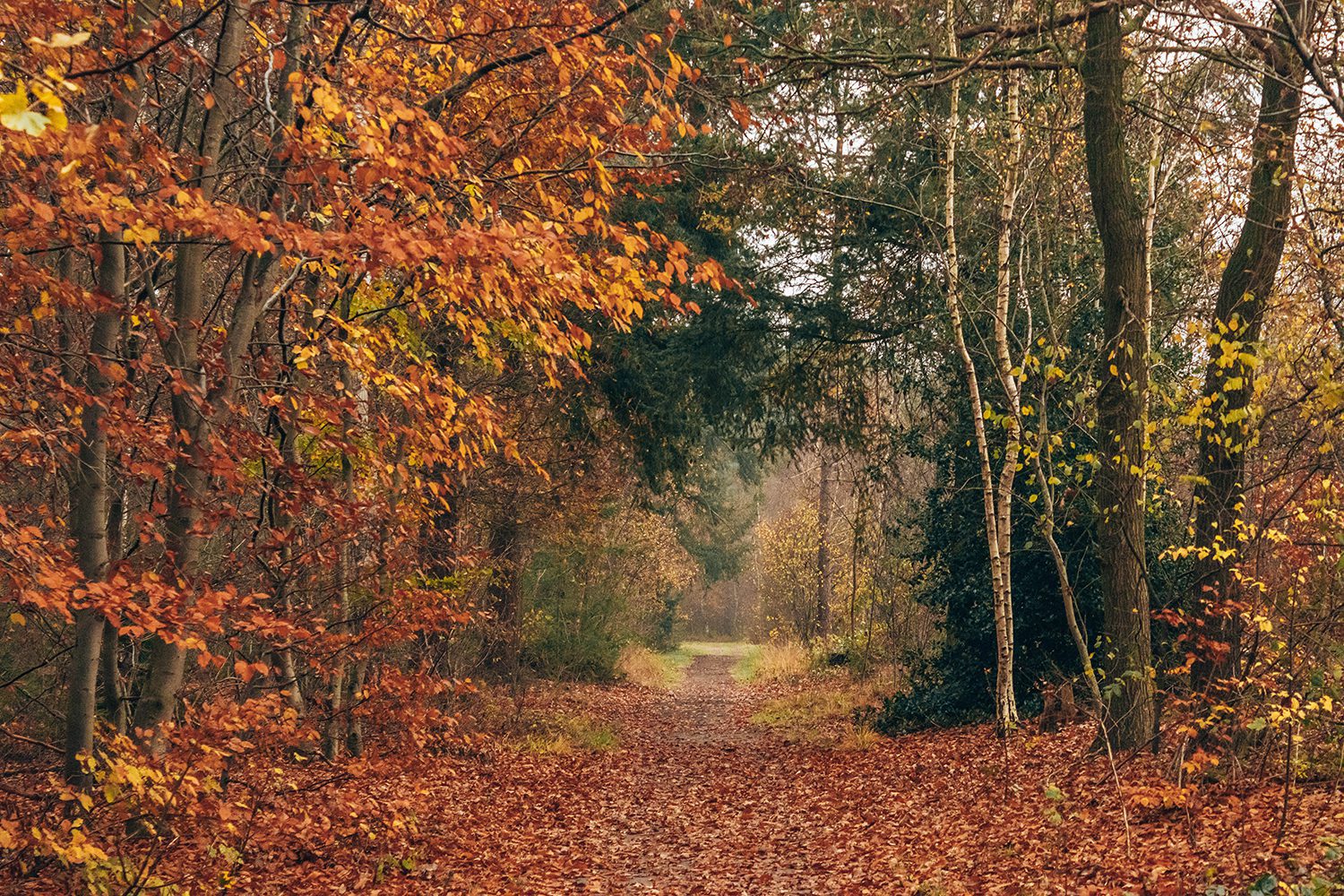 smokkelroute