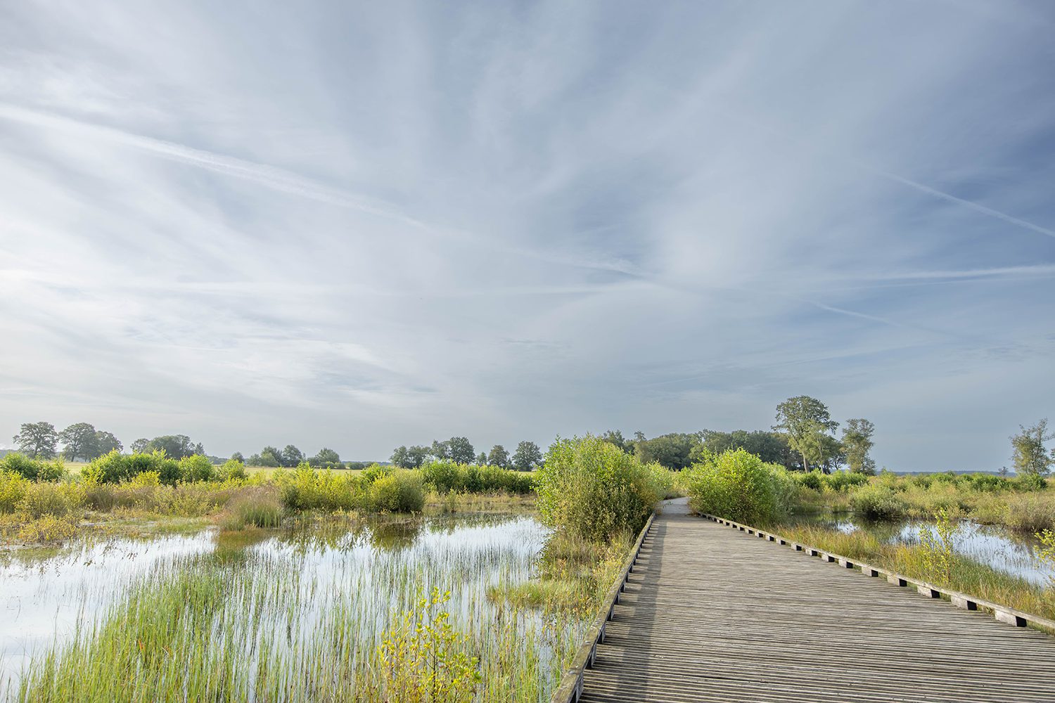 wandelroutes Dwingelderveld