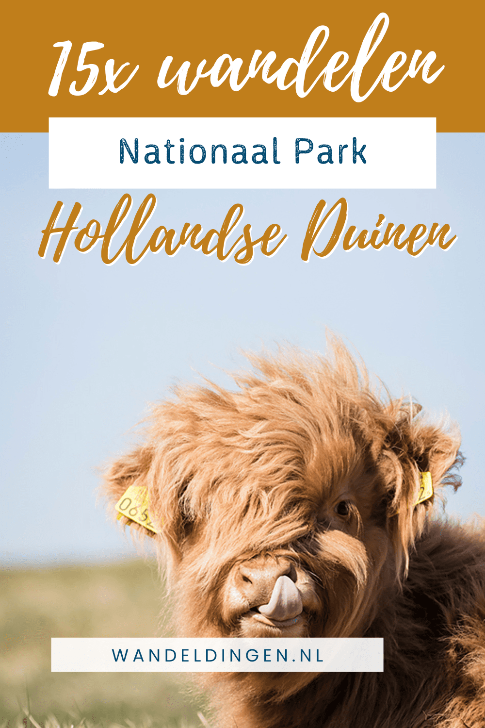 Nationaal Park Hollandse Duinen