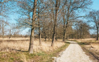 Wandelroute Kortenhoeff 