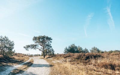Wandelroute Duin Kalmthoutse Heide 