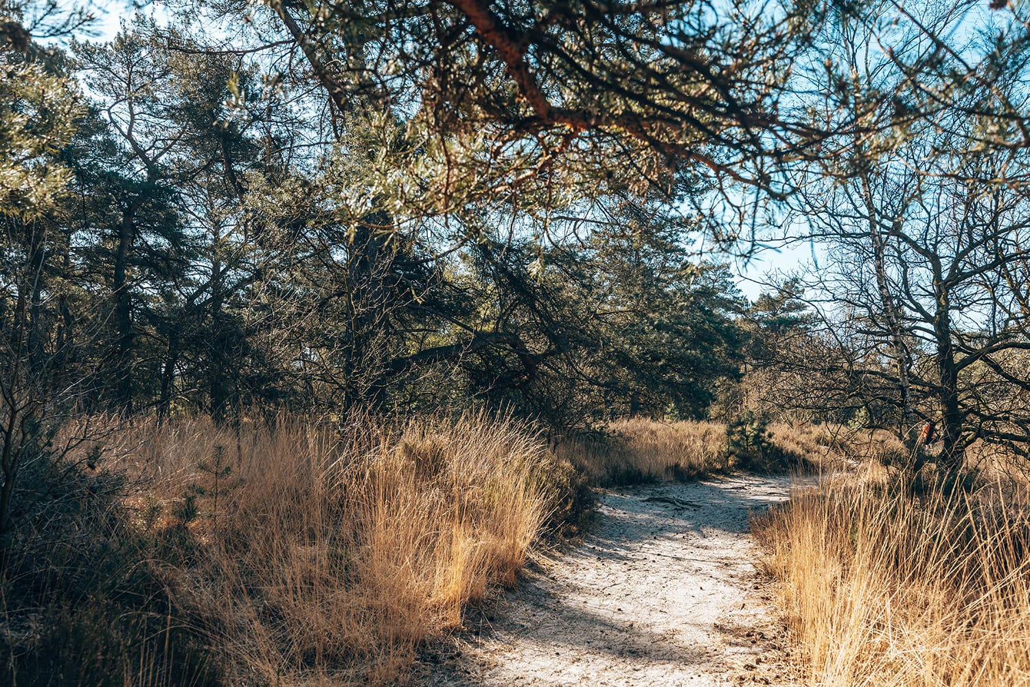 wandelroute duin