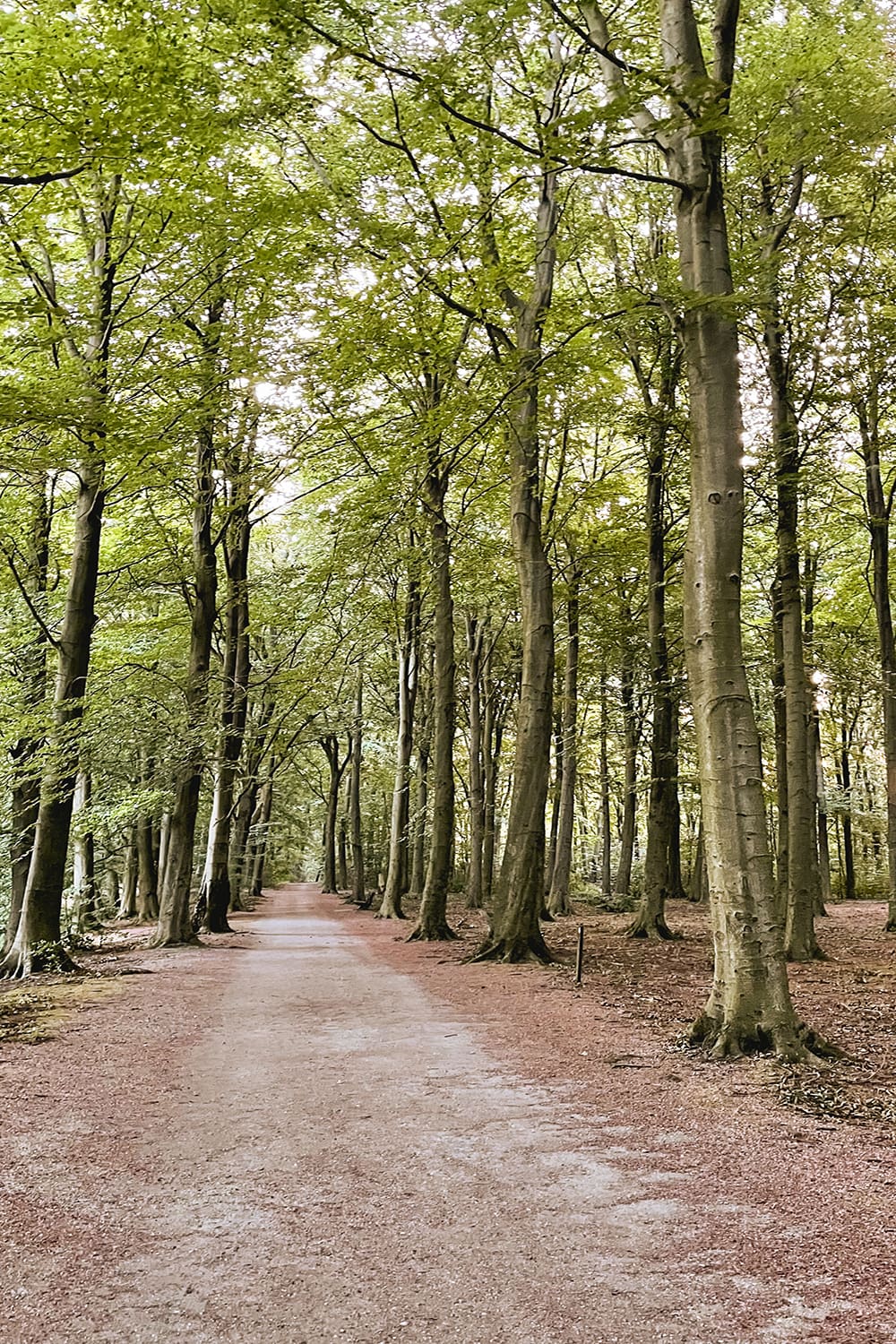 Nationaal Park Hollandse Duinen