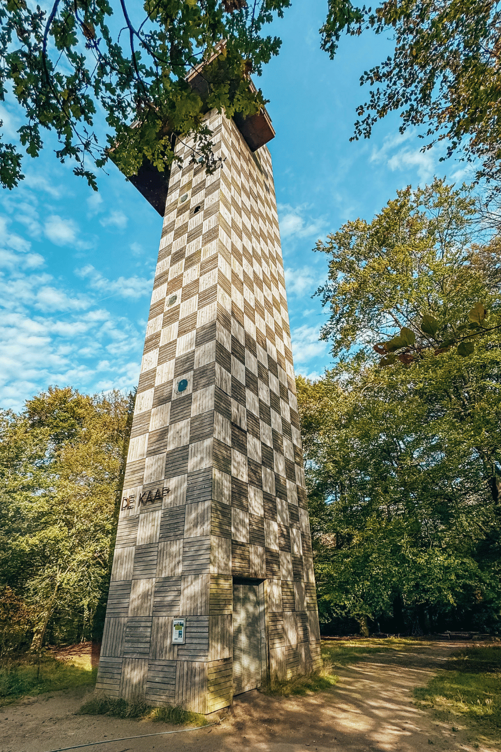 Kaapse Bossen