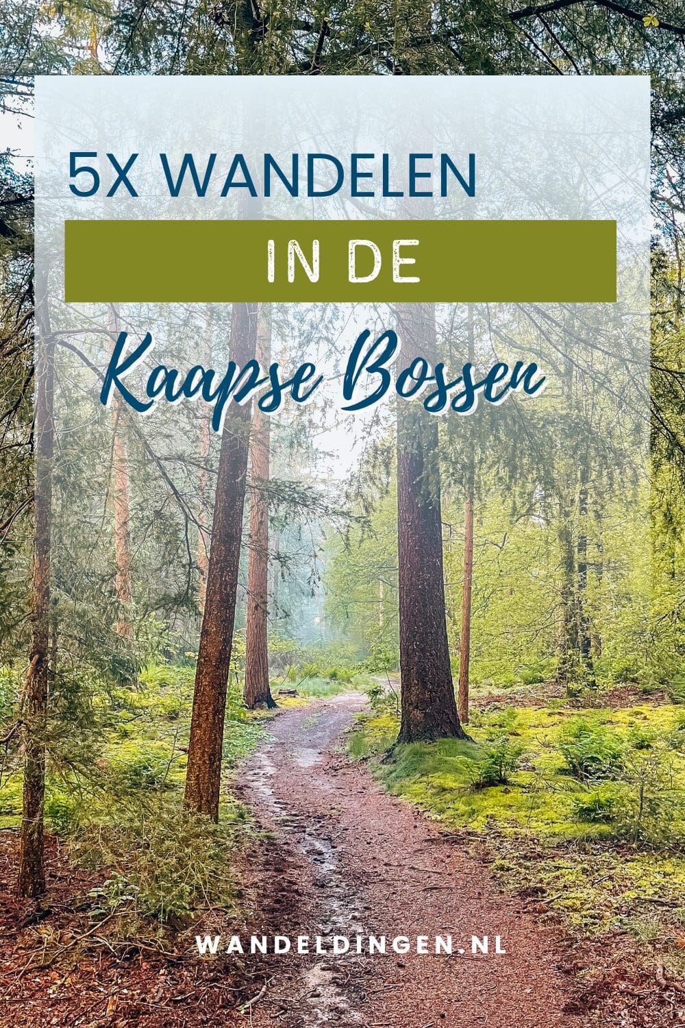 Kaapse Bossen