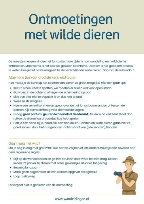 handout wilde dieren