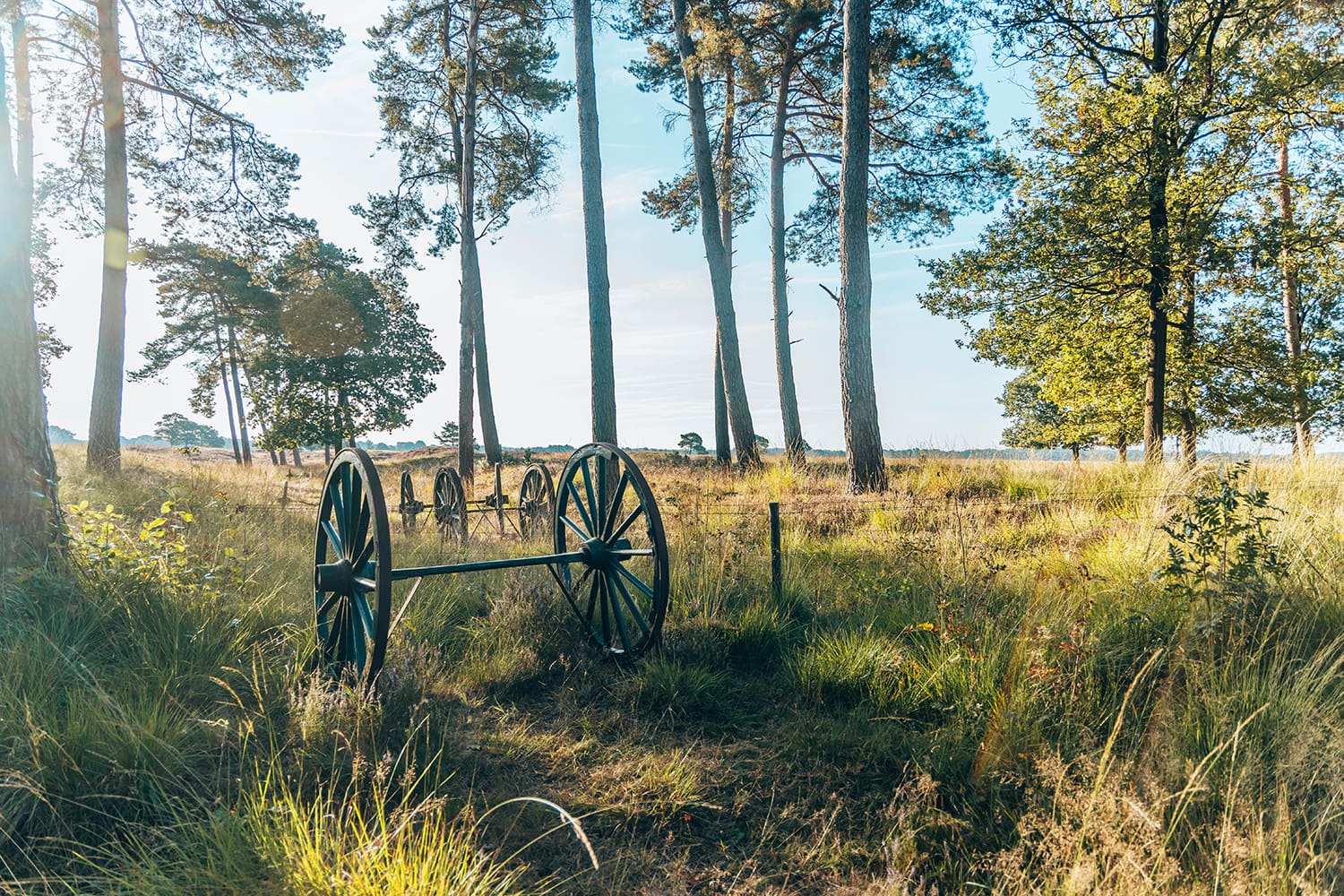 wandelroute Doldersummerveld