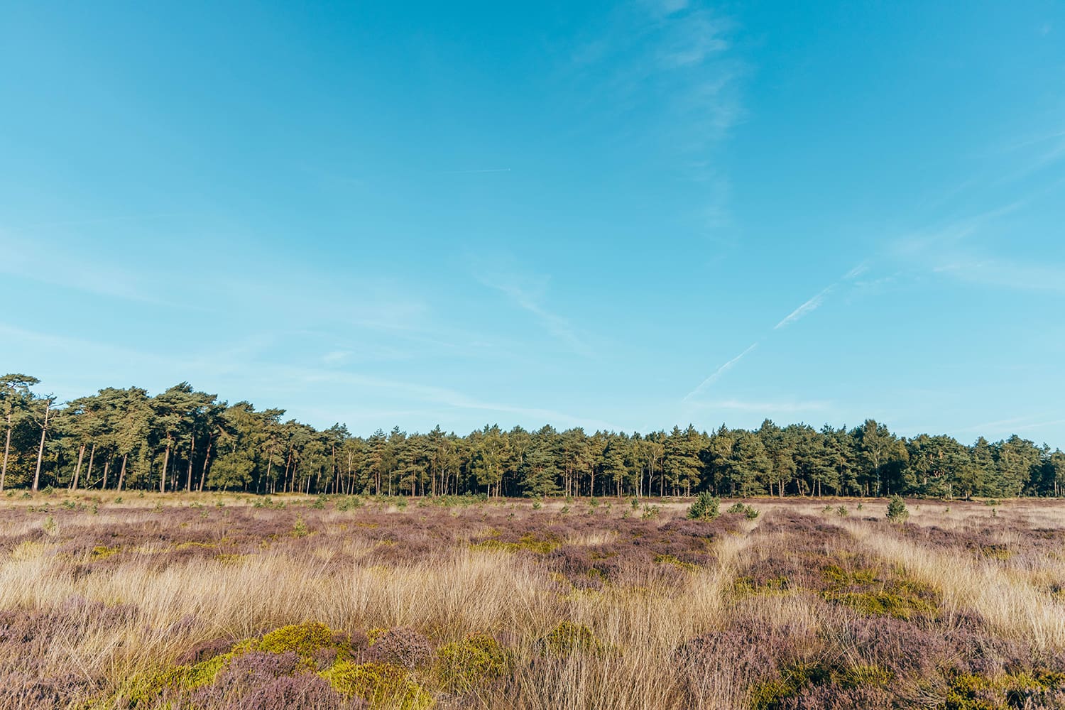 wandelroute Doldersummerveld