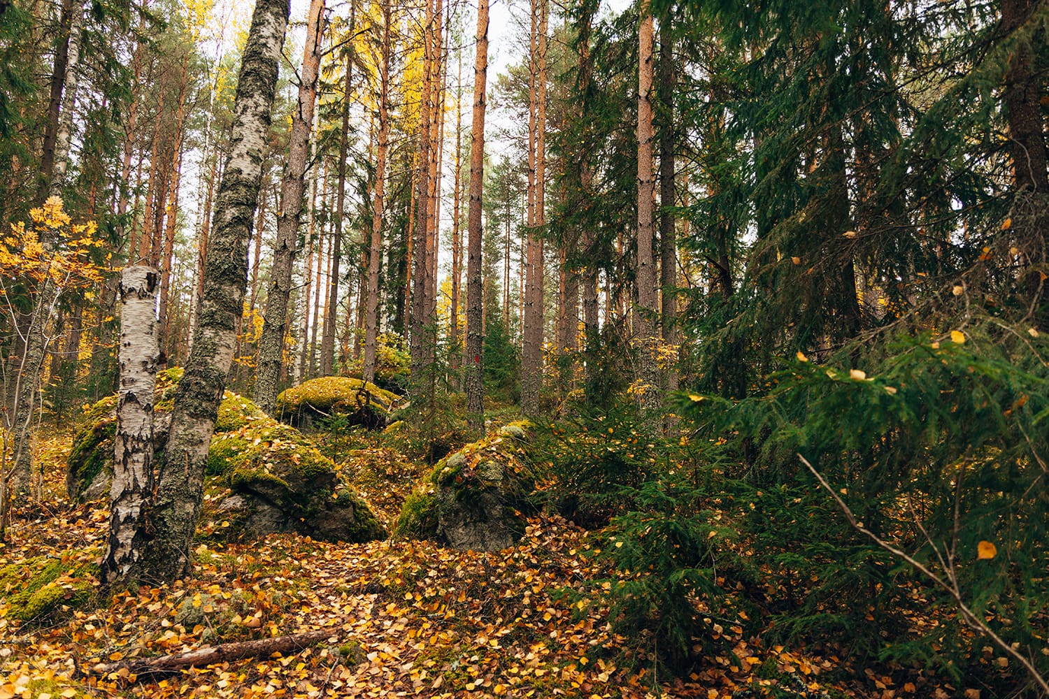 wandelroute Hovra Vandrarhem