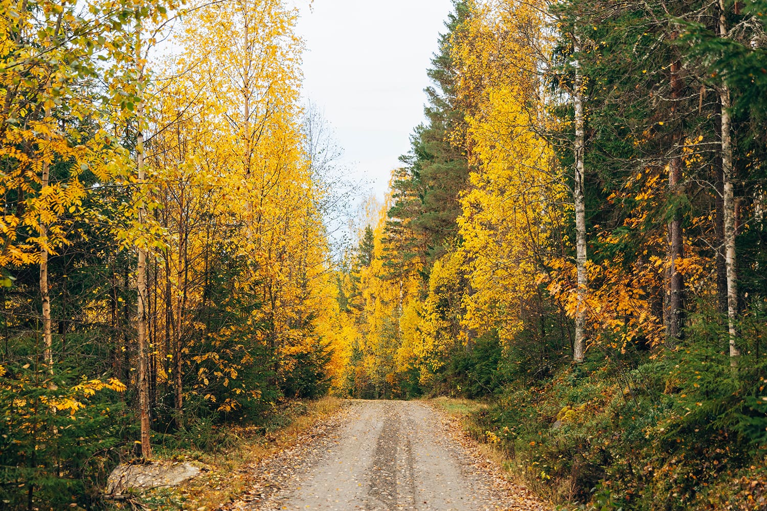 wandelroute Hovra Vandrarhem