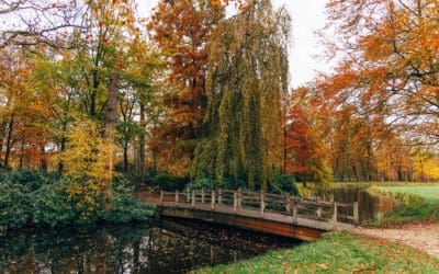 Wandelen langs de highlights van Baarn 