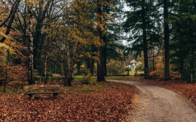 Oranje en gele netwerkwandeling Sprengenberg 